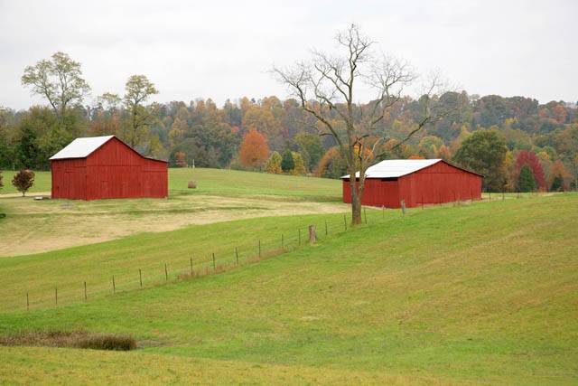57 - Tennessee Farm #1 ©2006 Carrie Barton
